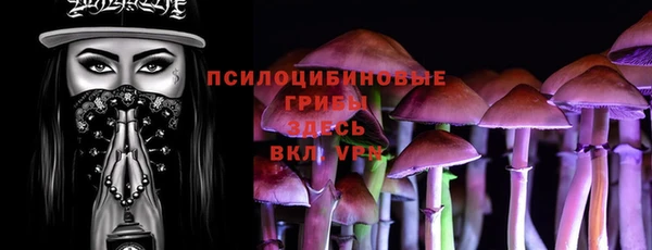 дурь Богородск