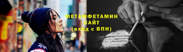 PSILOCYBIN Туринск