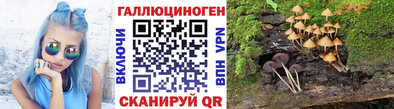 omg зеркало  Кондопога  Псилоцибиновые грибы Cubensis 